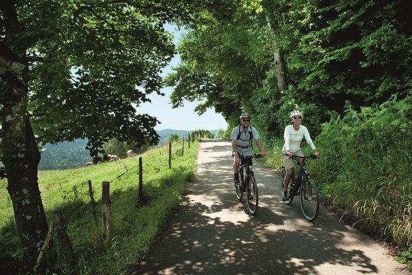 Radtour im Radparadies Allgäu © Allgäu GmbH, Marc Oeder